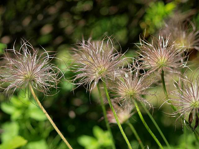 2010/6/1Be